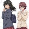 Hatsukoi Limited